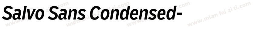 Salvo Sans Condensed字体转换